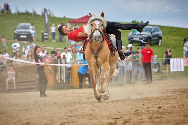 Cum au „dansat” dresorii din Runcu și caii lor, la Haidook Summer Fest 2019