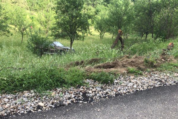 A ieșit în decor cu autoturismul. Noroc cu un copac ce a pus capăt "aventurii"