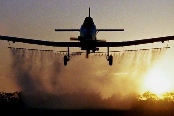 Aviotratamente, la Târgoviște, în 13-15 august. Vezi care sunt recomandările autorităților