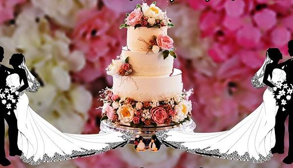 Găeștiul găzduiește, sâmbătă, un superb târg de nunți