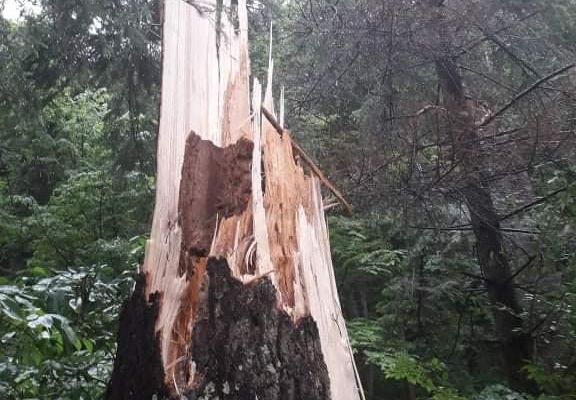 Haine cu numele unor mărci celebre, confiscate de jandarmi