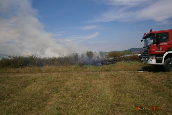 Doi copii de 13 ani au desfigurat în bătaie un bărbat din Potlogeni Vale. S-au năpustit asupra lui cu măciucile