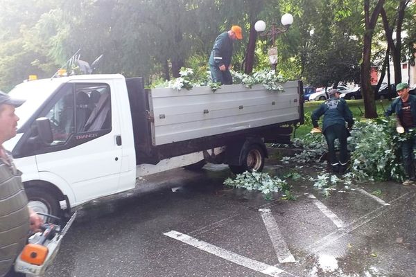 60 de angajați au muncit pentru a îndepărta copacii rupți ăn urma vijeliei din Târgoviște