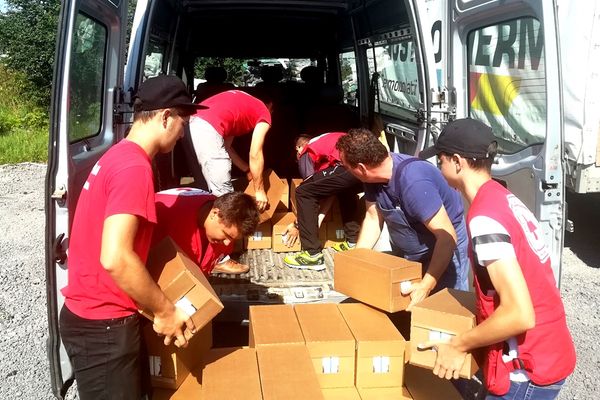 Cantitate de 42.000 de litri de lapte UHT donată de Crucea Roșie Dâmbovița familiilor nevoiașe