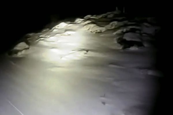 VIDEO A nins la Vârful Omu. Temperatura a fost de -1 Celcius