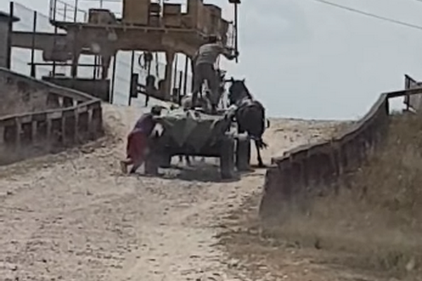 VIDEO Bărbat cercetat pentru scene de o cruzime rară. Cum își „pedepsește” caii