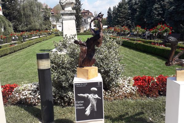 Foto-Video| Expoziție "altfel", în centrul Târgoviștei, de zilele orașului