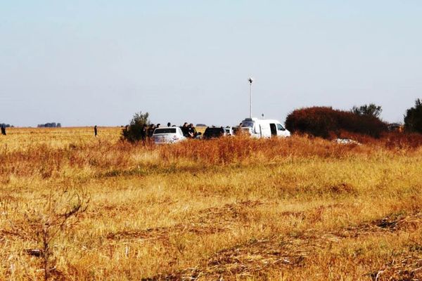 VIDEO Ipoteză șoc în cazul fetei de 11 ani găsită moartă pe câmp: „A fost răpită de cei care fac trafic de organe”