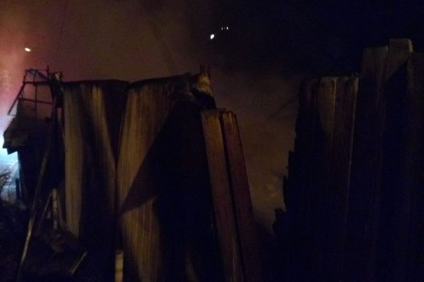 (Încă) un accident provocat de o căruță. Doi răniți și o cabalină decedată, la Dărmănești