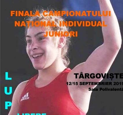 Pentru trei zile, Târgoviștea devine capitala luptelor, din România