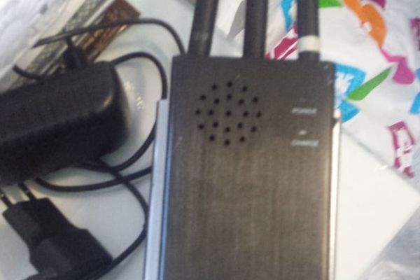 Acțiuni în forță pentru combaterea tigrului platanului, la Târgoviște. Insecta i-a disperat pe târgovișteni