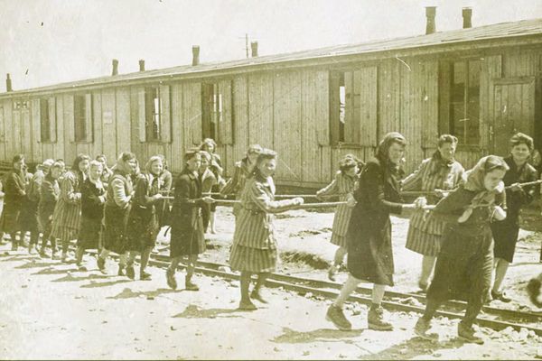 Tragedia Holocaustului prin ochii tinerei generaţii, manifestare organizată la Biblioteca Județeană