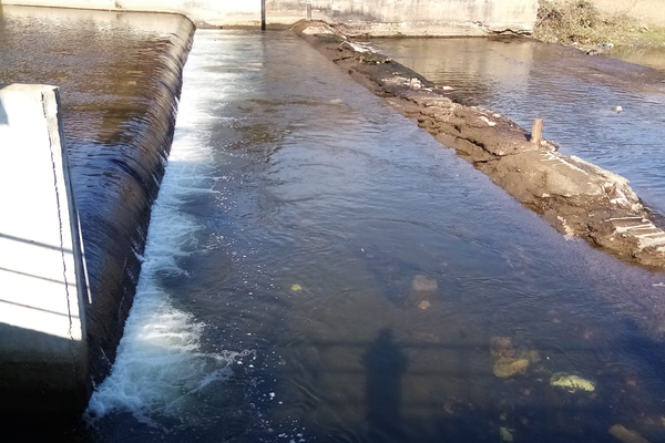 “Salvează o viaţă alături de jandarmii dâmboviţeni! Donează sânge!”