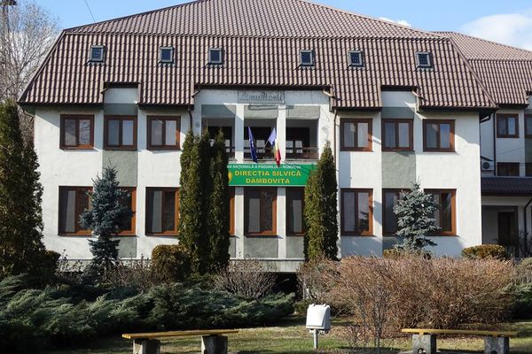 Sindicaliștii din Silvicultură cer ajutorul președintelui Klaus Iohannis. Se solicită ședință de urgență a CSAT