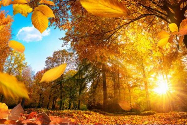 Val de aer tropical în România. Temperaturile ajung până la 25 de grade în Europa Centrală şi de Est