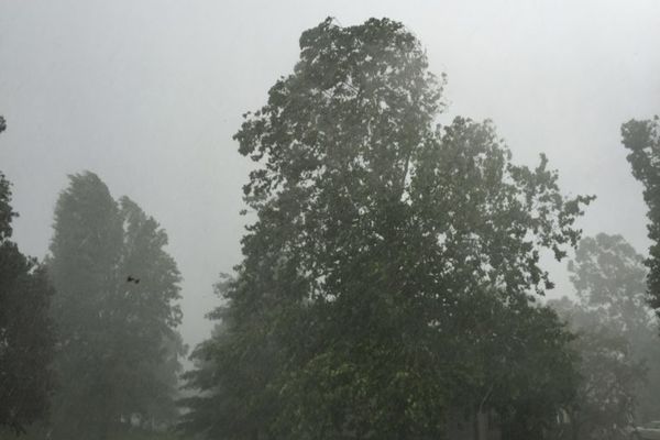 Cod galben de vânt și ceață în 11 județe. În Dâmbovița avertizarea valabilă până la ora 12.00