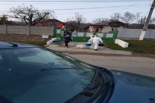 Unicat în România. Caz de Pestă Porcină Africană anunțat pe facebook, la Bezdead