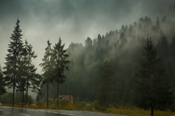 Cod roșu de vânt puternic în zonele montane din Argeș