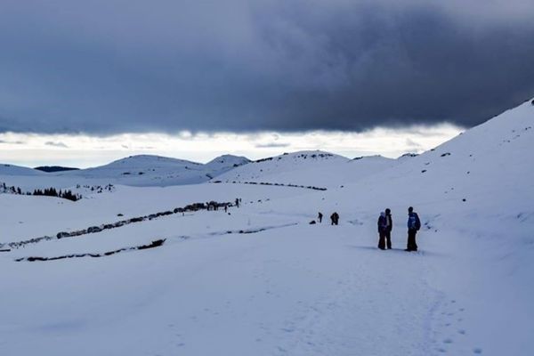 Iarna își intră-n drepturi!