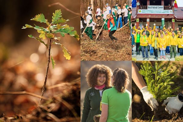 1.000.000 de puieți plantați. Campania „Plantăm fapte bune în România” continuă