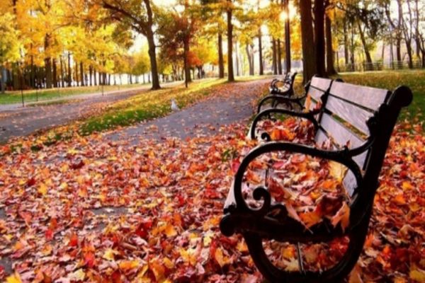 Toamnă cu vreme neobișnuit de caldă