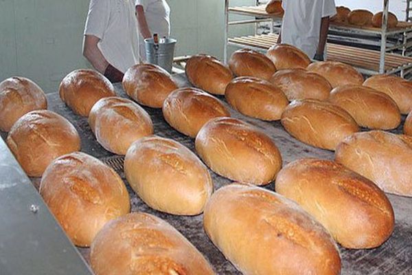 Record negativ. Un sfert din amenzile date de ANSVSA, în noiembrie, sunt în Dâmbovița