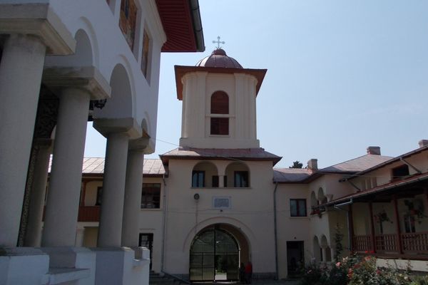 Focar de PPA la Mănăstirea Viforâta.Au fost nevoiți să omoare toți porcii, înainte de Crăciun