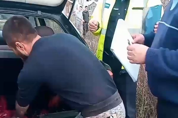 Update| Scandal cu focuri de armă, din pricina unui porc, în Dâmbovița, la Picior de Munte