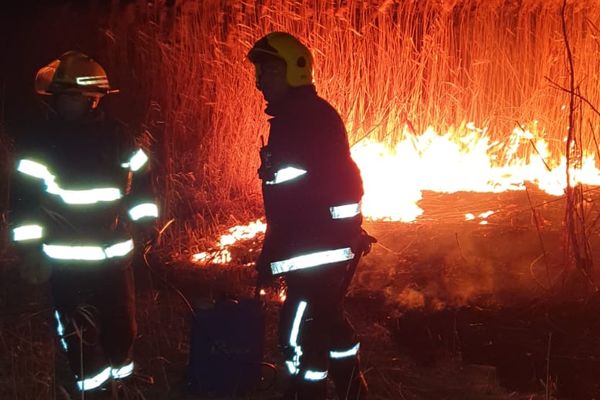 Video| Anormal! Pompierii din Dâmbovița se luptă cu un puternic incendiu de vegetație, la Vlădeni. Parcă ar fi mijlocul verii nu al...iernii