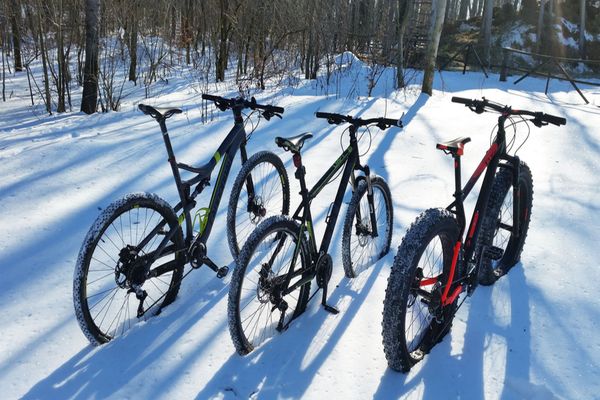 Amendă în grup pentru mai mulți bicicliști ce consumaseră băuturi alcoolice