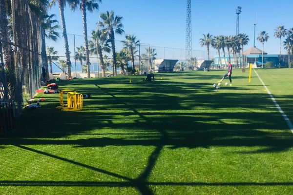 Foto| Chindia a început pregătirea de iarnă, printre palmieri și la +16 grade celsius