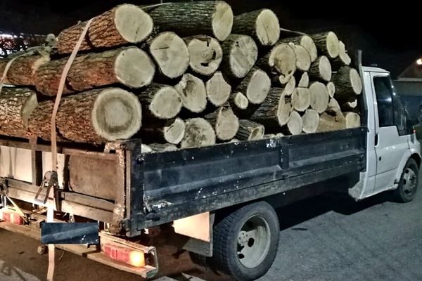 Aproximativ 5 mc de lemn de fag confiscat de polițiștii din Târgoviște