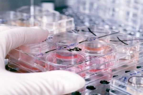 Coronavirus. Primul deces în afara Chinei. Numărul deceselor crește spectaculos