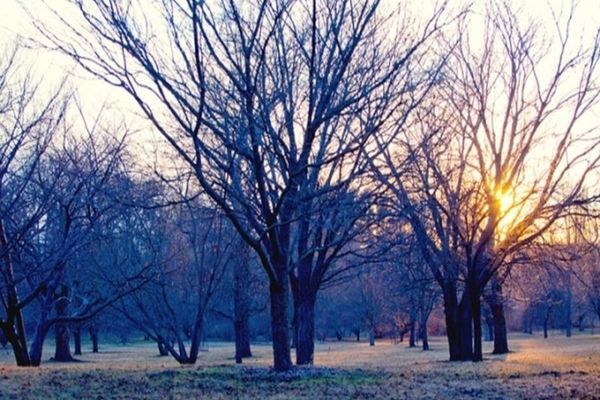 Iarnă doar în calendar. Temperaturi peste mediile perioadei, aproape de 20 de grade Celsius, anunțate de meteorologi.