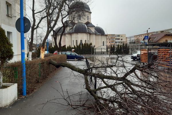 Foto-Video| Incendiu puternic la o fermă din Perșinari, județul Dâmbovița