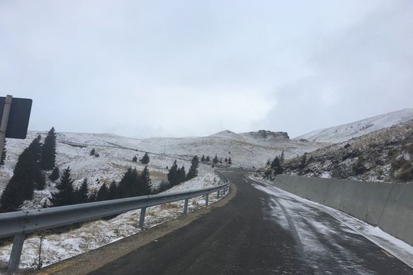 Foto| Drum deblocat în Bucegi, după ce vântul doborâse aproximativ 100 de copaci, în noaptea de 5-6 februarie