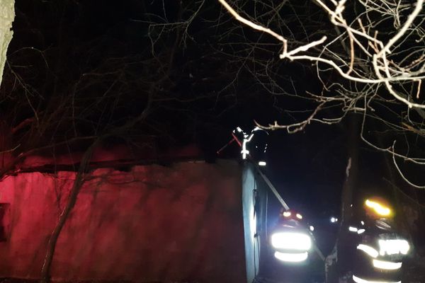 Video-Puternic incendiu de vegetație la Filipeștii de Pădure,la granița cu județul Dâmbovița