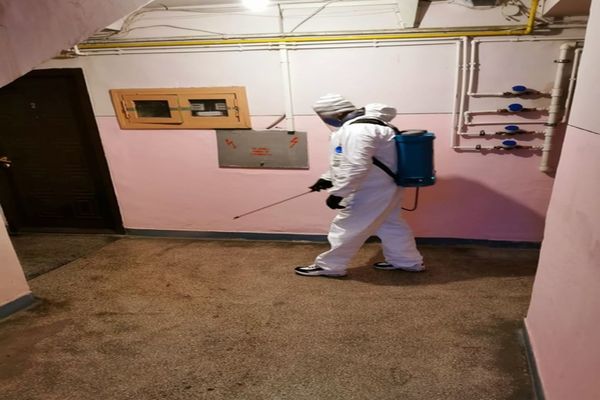 (VIDEO) Aproximativ 1500 de scări de bloc din Târgoviște sunt dezinfectate de Primărie, conform Ordonanței Militare 4