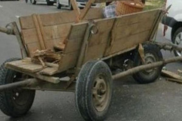 A vrut să meargă cu căruța dar s-a speriat de cal și...a ajuns la spital
