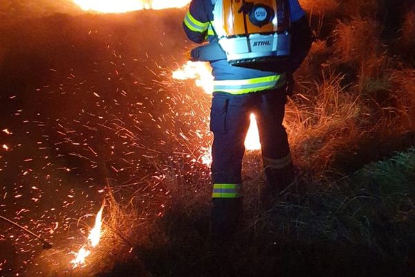 Video| Puternic incendiu de vegetație la Voinești,în Dâmbovița