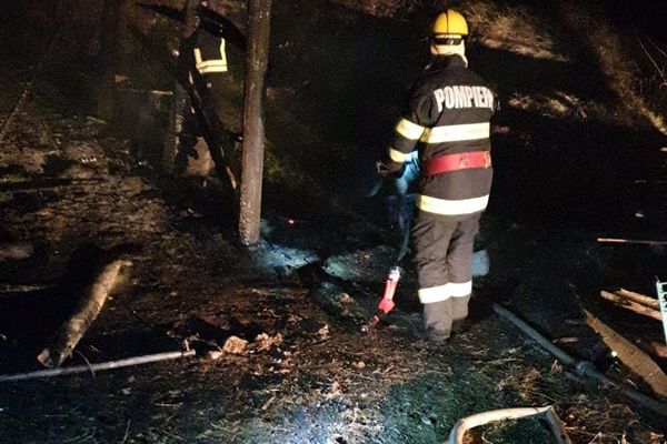 Foto| Mână criminală. Două ovine și o anexă gospodărească mistuite de flăcări, la Gura Ocniței