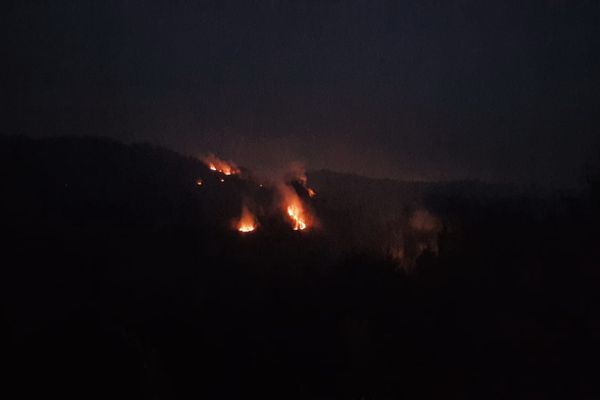 Foto-Video| Pompierii se luptă de mai bine de șase ore să stingă un puternic incendiu de pădure, la Buciumeni