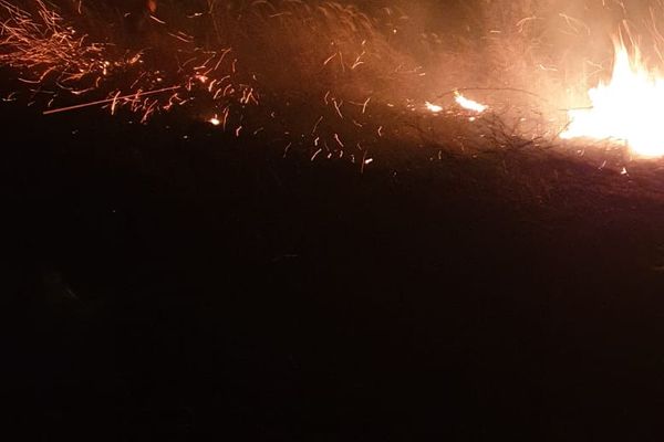 Video | Incendiu puternic de vegetație uscată la Filipeștii de Pădure, în Prahova. Intervin pompierii dâmbovițeni