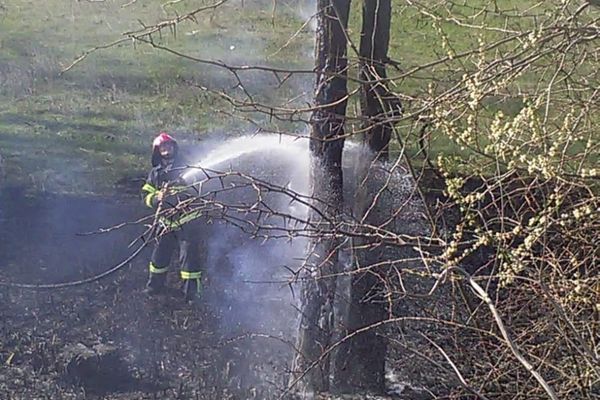 (FOTO)-Puternic incendiu de vegetație în Parcul Cantacuzino, de la Ciocănești, județul Dâmbovița