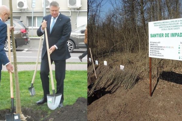 Președintele și premierul vin în Dâmbovița, la lansarea evenimentului "O pădure cât o țară". Evenimentul are loc vineri, 6 martie, la Uliești