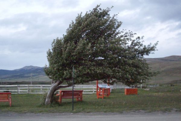 Alertă meteo! Cod galben de vânt și în Dâmbovița, în zonele joase (duminică,15 martie)