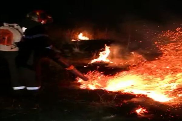 Video| Puternic incendiu de vegetație uscată aproape de Târgoviște, la Colanu