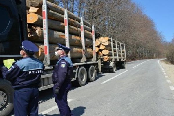 Acțiune de amploare a Poliției, pentru prevenirea delictelor silvice, la Moroieni, în Dâmbovița