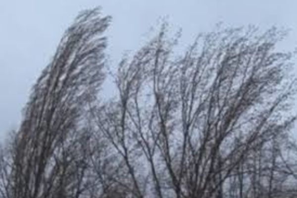 Atenționare meteo! Cod galben de vânt și viscol și în zona montană din Dâmbovița (6-7 mai)