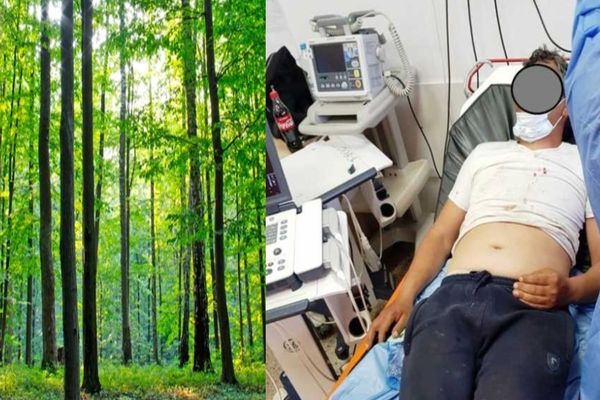 Bărbat din Șuța Seacă, bătut cu bestialitate de doi indivizi mascați, într-o pădure din Dâmbovița